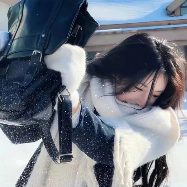 雪崩行动