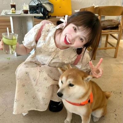 莲花太子
